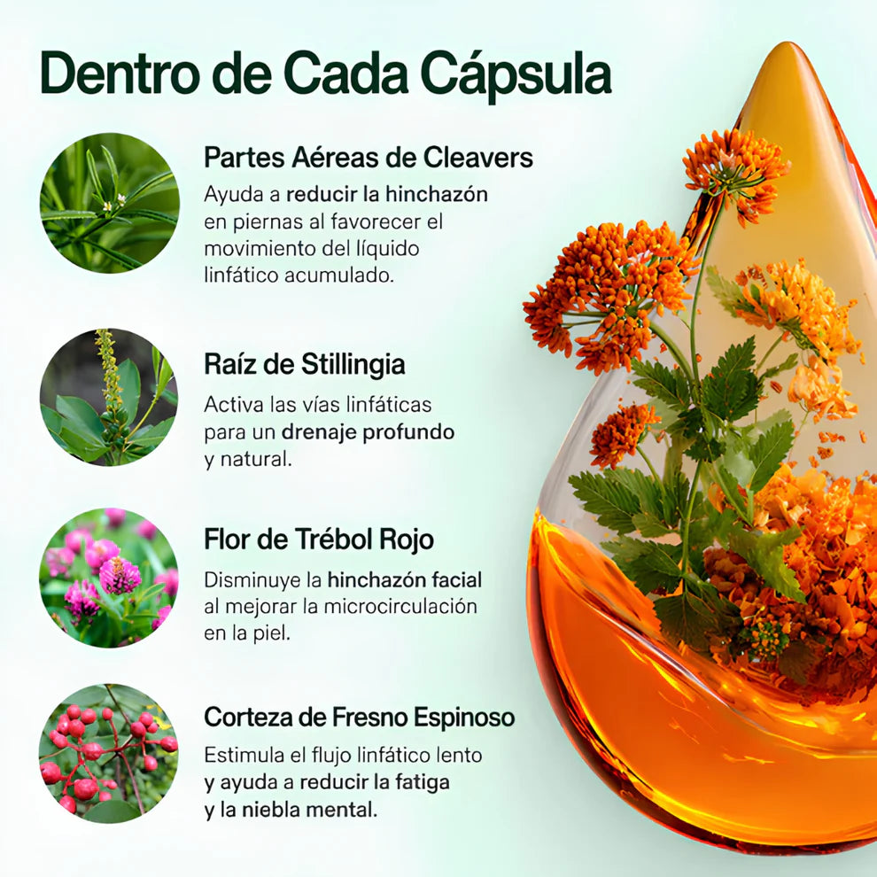 Cápsulas de Drenaje Linfático Natural | Reduce Hinchazón y Retención de Líquidos  |  60 cápsulas