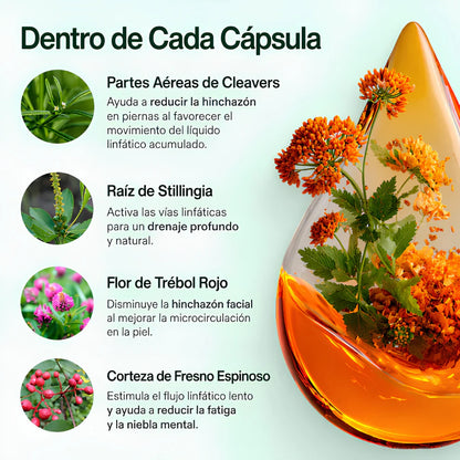 Cápsulas de Drenaje Linfático Natural | Reduce Hinchazón y Retención de Líquidos  |  60 cápsulas